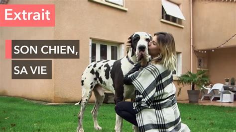 elle suce des chiens|Zoophile, VO on Vimeo.